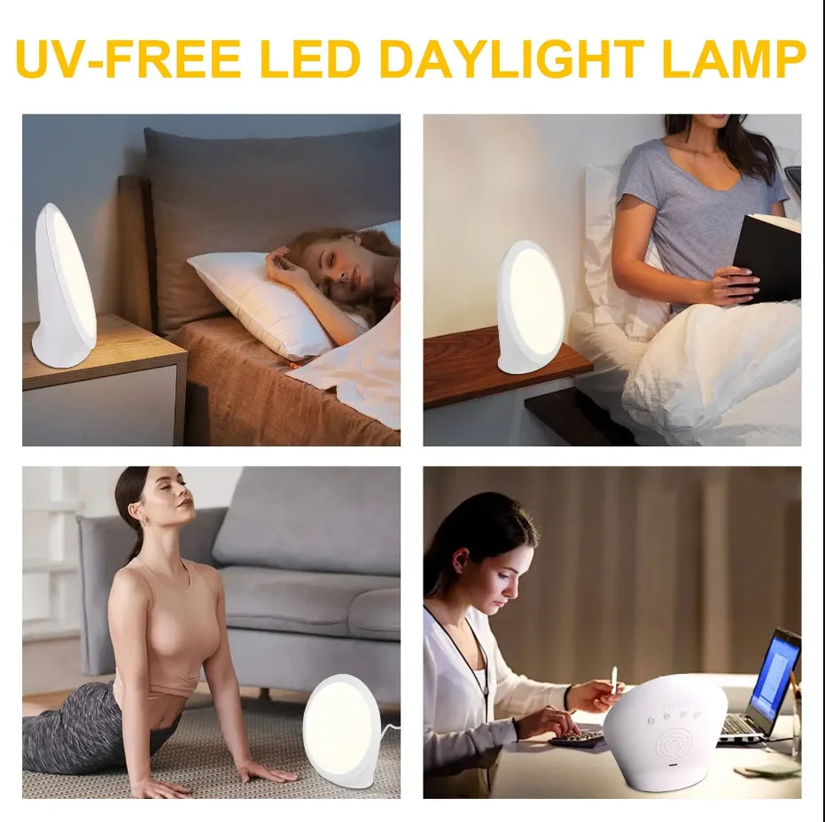 Daylight Lamp,10000 Lux Lamp, Portable Natural Sunlight Lamp with Memory Function,6 Timer Settings,Adjustable Brightness Level