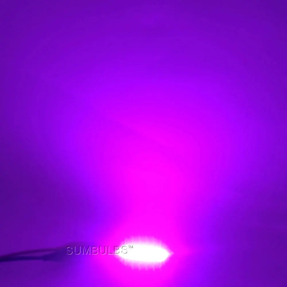 SUMBULBS 60*15mm COB LED Light Bulb 12V 2W LED Diode Lighting Chip Red Blue Pink Green Yellow White Color for DIY Lamp Bulbs