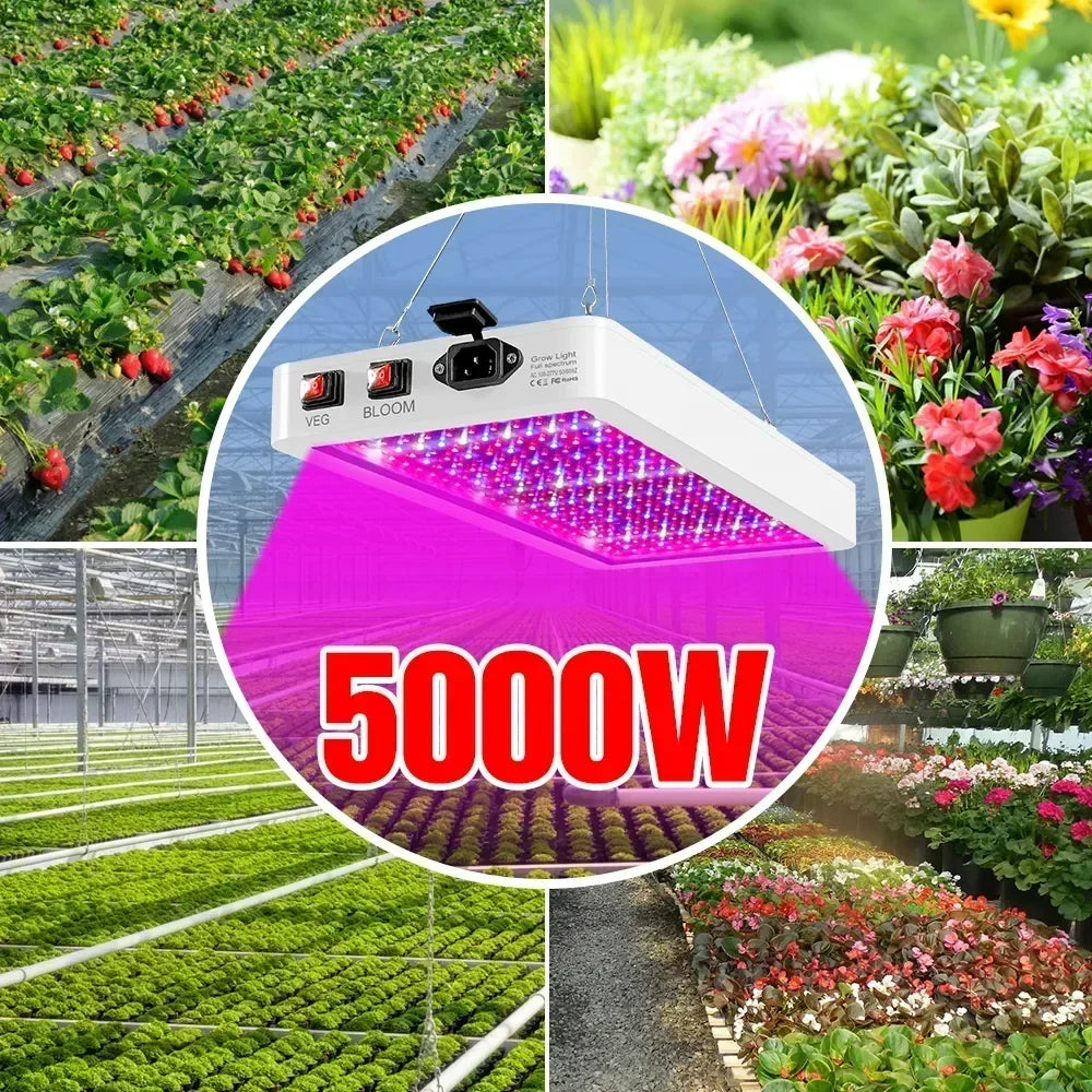 Newest 4000/5000W Full Spectrum LED Growing Light IP65 Plant Bulbs Hydroponic Lamp Greenhouse Lamps Flower Growth Lighting Box
