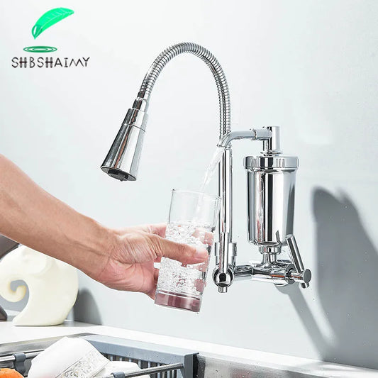 Chrome&Black Comes With a Pure Filter Single Cold Water Faucet Wall Mounted Kitchen Taps Balcony Household Filtered Waters